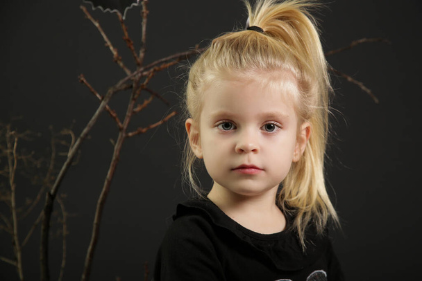 Halloween studio portrait of cute 4 years old girl. - Photo, Image