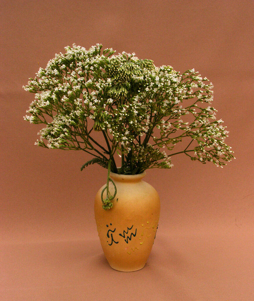 Μπουκέτο με καλοκαιρινά λουλούδια σε πήλινο βάζο σε ελαφρύ υφασμάτινο φόντο. Ροδάκινα στέκεται σε ένα βαθύ πιάτο δίπλα στο άλλο - Φωτογραφία, εικόνα