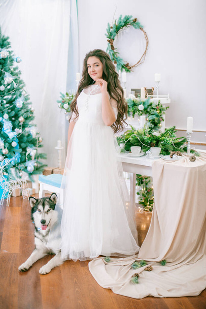 A cute teenage girl with long dark curly hair in a white airy ball gown near the Christmas tree in a room with a classic Christmas decor with a large Malamute. Christmas mood. pets - Foto, immagini