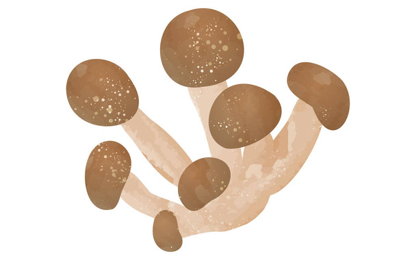 Herfst smaak, eenvoudige illustratie van champignons Beech Shimej - Vector, afbeelding