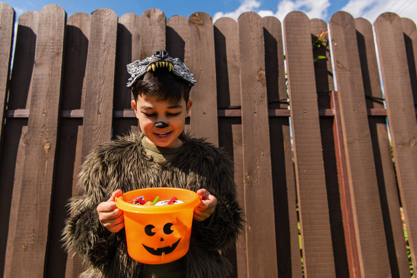 Asiatischer Junge im Werwolf-Kostüm schaut in Halloween-Eimer mit Süßigkeiten - Foto, Bild