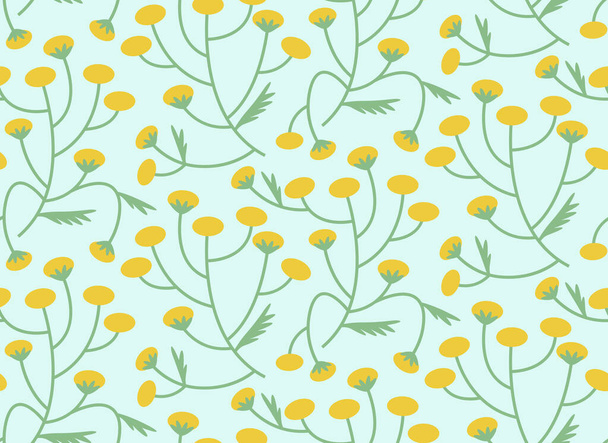 Seamless pattern with tansy. Texture with wildflowers in flat style. - Vector, Image