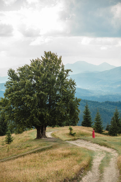woman in red dress near large old beech tree with lush green leaves in Carpathian mountains in summer time. Landscape - 写真・画像
