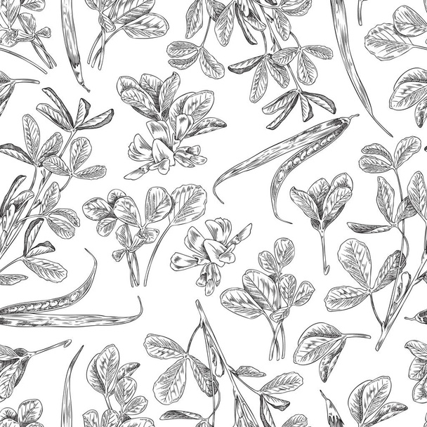 Hand drawn fenugreek seamless pattern, monochrome sketch vector illustration on white background. Fenugreek plant with leaves and blooming flowers and seeds. Pattern for culinary or medical design. - Vecteur, image