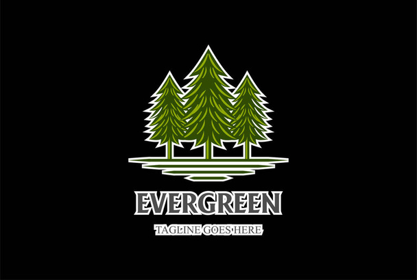 Rústico Retro Vintage Pine Evergreen Fir Hemlock Spruce Conifer Cedro Conífero Cipreste Larício Árvores Floresta logotipo design - Vetor, Imagem