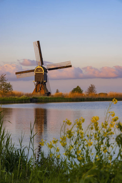 Windmill Broekmolen, Molenlanden - Nieuwpoort, The Netherlands - Фото, изображение