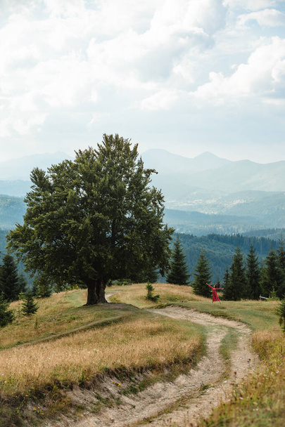 woman in red dress near large old beech tree with lush green leaves in Carpathian mountains in summer time. Landscape - Foto, imagen