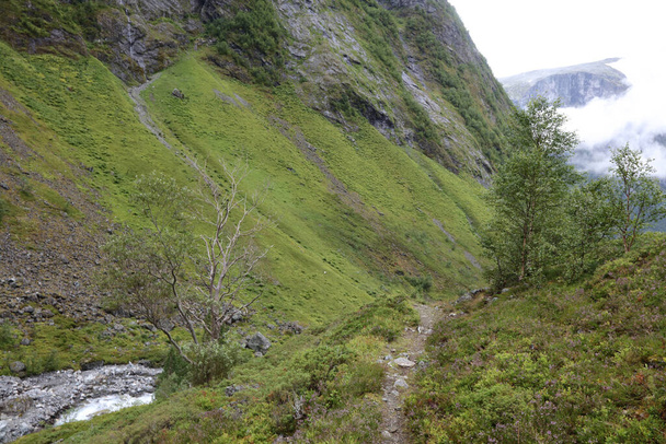 Vue panoramique de jour du paysage près de Fresvik, Norvège  - Photo, image