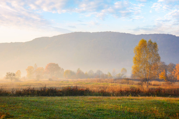 rural fields in autumnal countryside. colorful landscape on a hazy morning - Foto, Bild