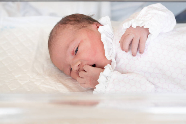 Portrait d'un nouveau-né mignon endormi 2 jours après la naissance. - Photo, image