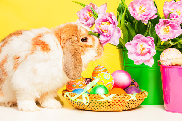 Bunny and pink flowers on table - Photo, Image
