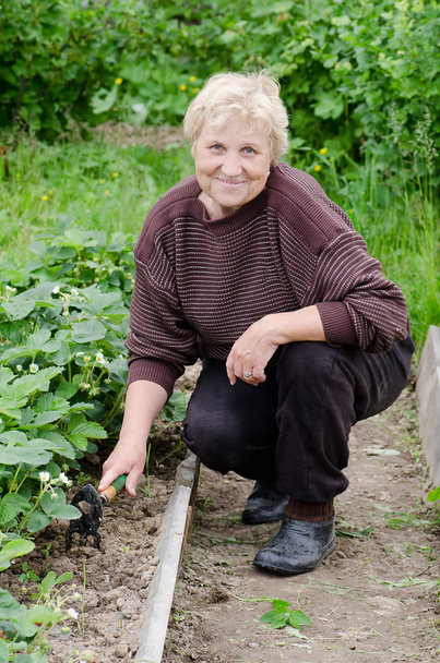 The elderly woman works on a kitchen garden - Foto, afbeelding
