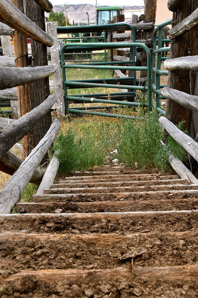 Une rampe de chargement dans un corral de ranch est sale et pleine de fumier.  - Photo, image