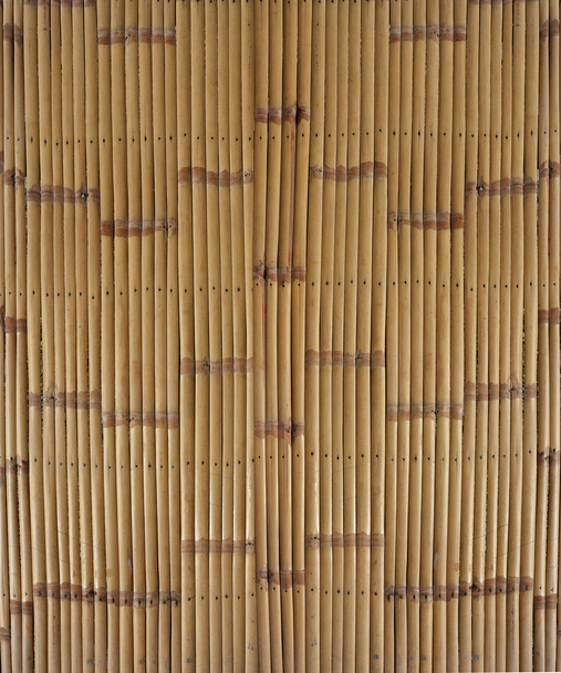 Trockenes Bambusmuster - Foto, Bild