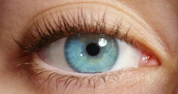 Œil humain, vision et pupilles dilatées de belle femme à l'iris bleu naturel avec de longs cils. Macro zoom d'une femelle éveillée avec vue optique pour la sensibilisation aux soins oculaires, aux médicaments ou à la mydriase. - Séquence, vidéo