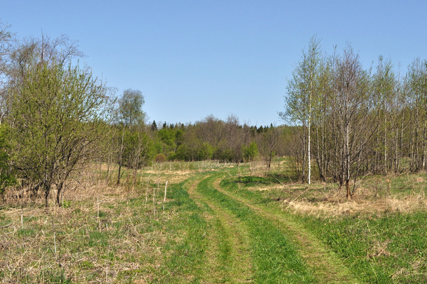 Country road in green grass - Fotó, kép