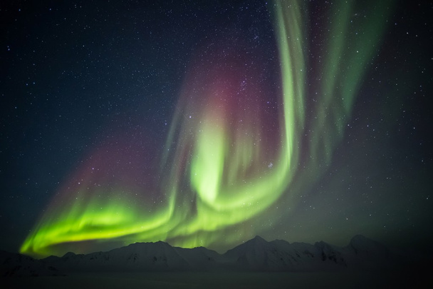 Ongewoon, kleurrijke Noorderlicht boven de Spitsbergen-eilandengroep - Arctic - Foto, afbeelding