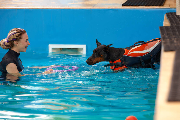 Dog trainer at the swimming pool, teaching the dog to swim - Foto, Bild