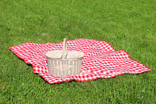 Picnic basket with checkered tablecloth on green grass outdoors - 写真・画像