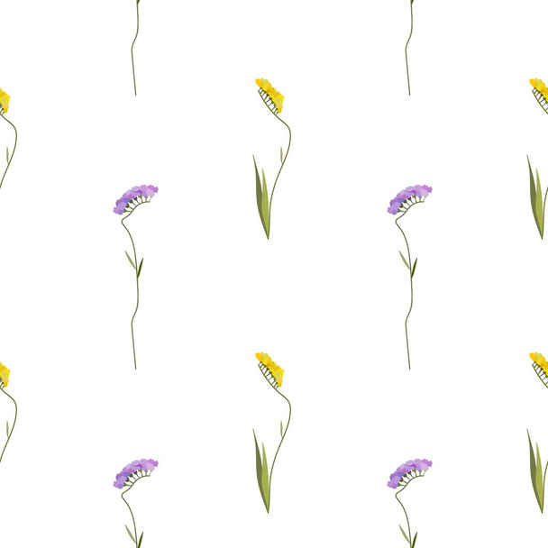 Beautiful botanical pattern, floral background with statica. Limonium plant. - Vector, afbeelding