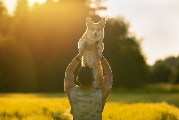 Mann mit fröhlichem Corgi-Hund im Arm bei Sonnenuntergang. Hund und Herrchen zusammen. Liebe zu Haustieren. Hochwertiges Foto - Foto, Bild