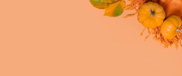 Syksy tasainen lay banneri koostumus kurpitsat ja laskenut lehdet oranssi huivi ylhäältä näkymä. Kopioi tila. - Valokuva, kuva