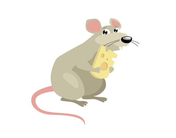 Print. artoon rat with cheese. Sweet rodent. Cartoon character.Little fluffy mouse. gray wool - Вектор,изображение