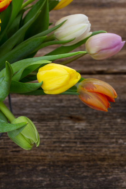 pile  of multicolored  tulips - Foto, Bild