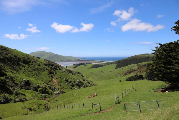 Kueste Otago Halbinsel / Costa della penisola di Otago /  - Foto, immagini