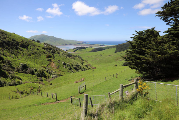 Küsten der Otago Halbinsel / Küste der Otago Halbinsel /  - Foto, Bild