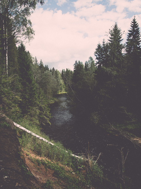 mountain river in summer surrounded by forest - vintage retro - 写真・画像