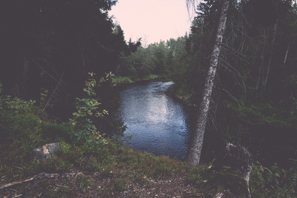 vuoristojoki kesällä metsän ympäröimänä - vintage retro
 - Valokuva, kuva