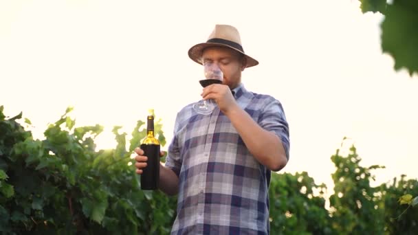 Un auténtico chupito de feliz y exitoso enólogo masculino es probar un sabor y comprobar la calidad del vino tinto vertido en vidrio transparente sobre el fondo de los viñedos al atardecer. Imágenes de alta calidad 4k - Metraje, vídeo