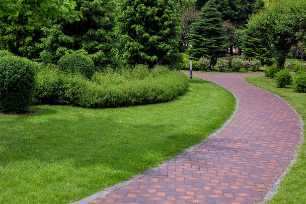 curved pathway paved brick stone tiles in park among plants, foliage bushes and pine trees surrounded by eco friendly green lawn on sunny day and iron ground lantern garden lighting, nobody. - Fotoğraf, Görsel