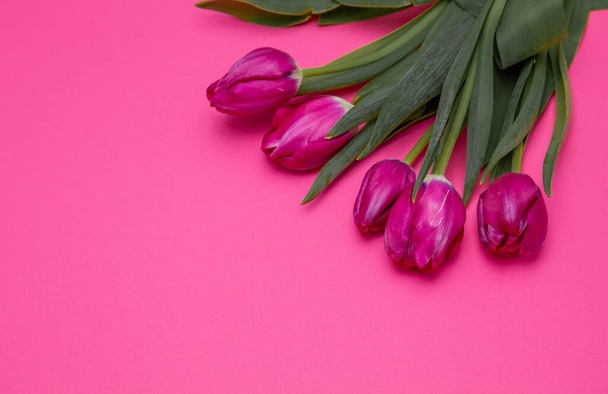 Pink tulips bouquet on background with place for text. Tulip flower. Spring flowers. Copy space. - Fotó, kép