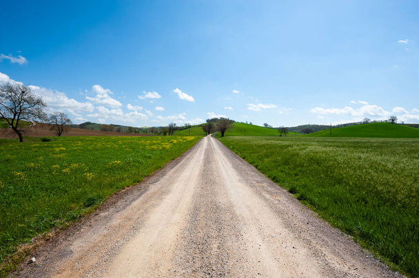 sinuoso camino de tierra entre los campos de primavera de la Toscana - Foto, imagen