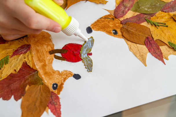 Fille fait une application à partir de feuilles sèches. Les enfants appliquent sur le thème de l'automne. Hérisson et pomme - Photo, image
