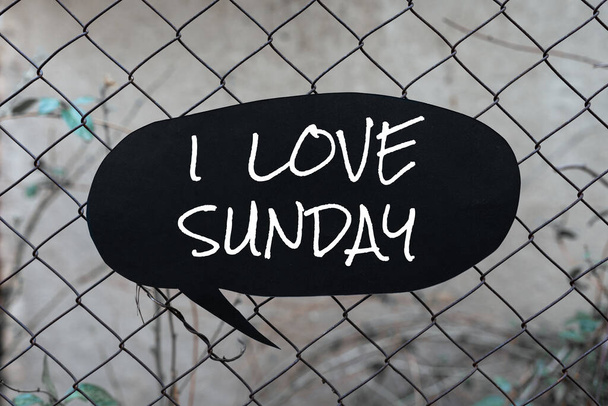 Titulek textu představuje Miluji neděli, Obchodní nápad mít náklonnost k víkendu šťastný vzrušený relax - Fotografie, Obrázek