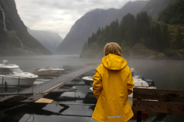 Люди, дети наслаждаются удивительными видами Норвегии на горы и другие красивые места природы - Фото, изображение