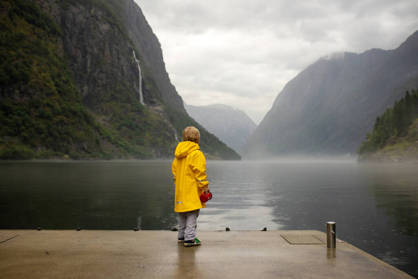 People, children enjoying the amazing views in Norway to fjords, mountains and other beautiful nature miracles - 写真・画像
