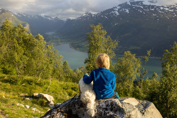 People, adult with kids and pet dog, hiking mount Hoven, enjoying the splendid view over Nordfjord from the Loen skylift - Fotó, kép