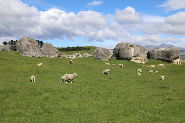 Neuseland - Elephant Rocks / Neuseeland - Elephant Rocks  - Фото, зображення