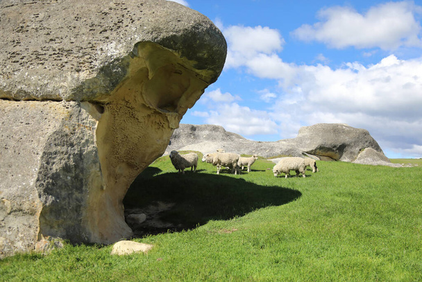 Neuseland - Elephant Rocks / Neuseeland - Elephant Rocks  - Фото, зображення