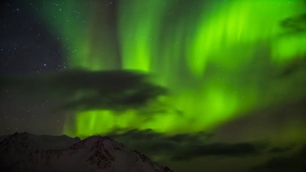 Όμορφο βόρειο σέλας πάνω από την Αρκτική βουνά και τους παγετώνες - Πλάνα, βίντεο