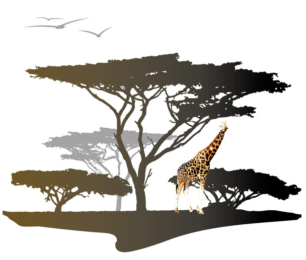 Giraffe with silhouette of tree - Vector, Image