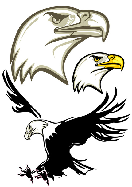 Cabeza de águila, águila
 - Vector, Imagen
