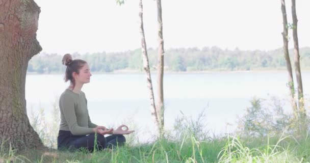 Молодая женщина практикует йогу на природе. Сидя на зеленой траве рядом с деревом и лесным озером. Ешьте, чтобы заниматься спортом и поддерживать хорошее здоровье. Высокое качество фото - Кадры, видео