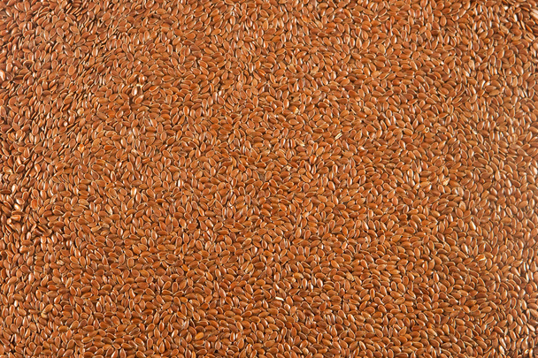 Lněná semena - Fotografie, Obrázek