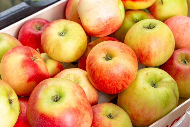 収穫後、おいしい熟したElstarとGaraのリンゴを木のボウルに入れ - 写真・画像