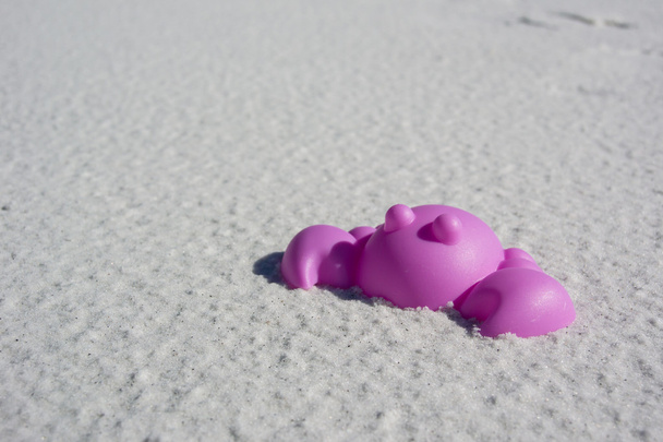 фіолетовий краб пісок іграшка
 - Фото, зображення